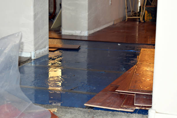 Professional Water Damage Restoration technician working in Waterloo, IA